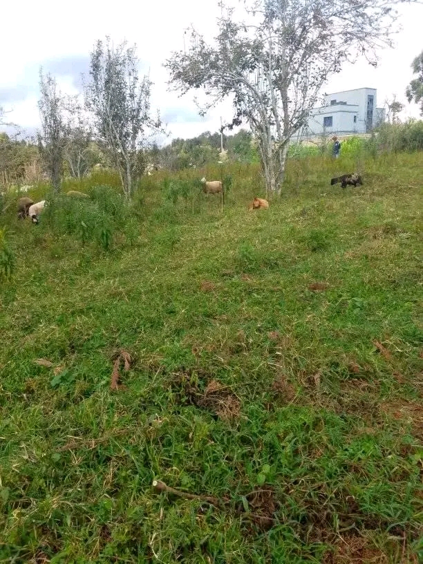 1756646989792.jpg