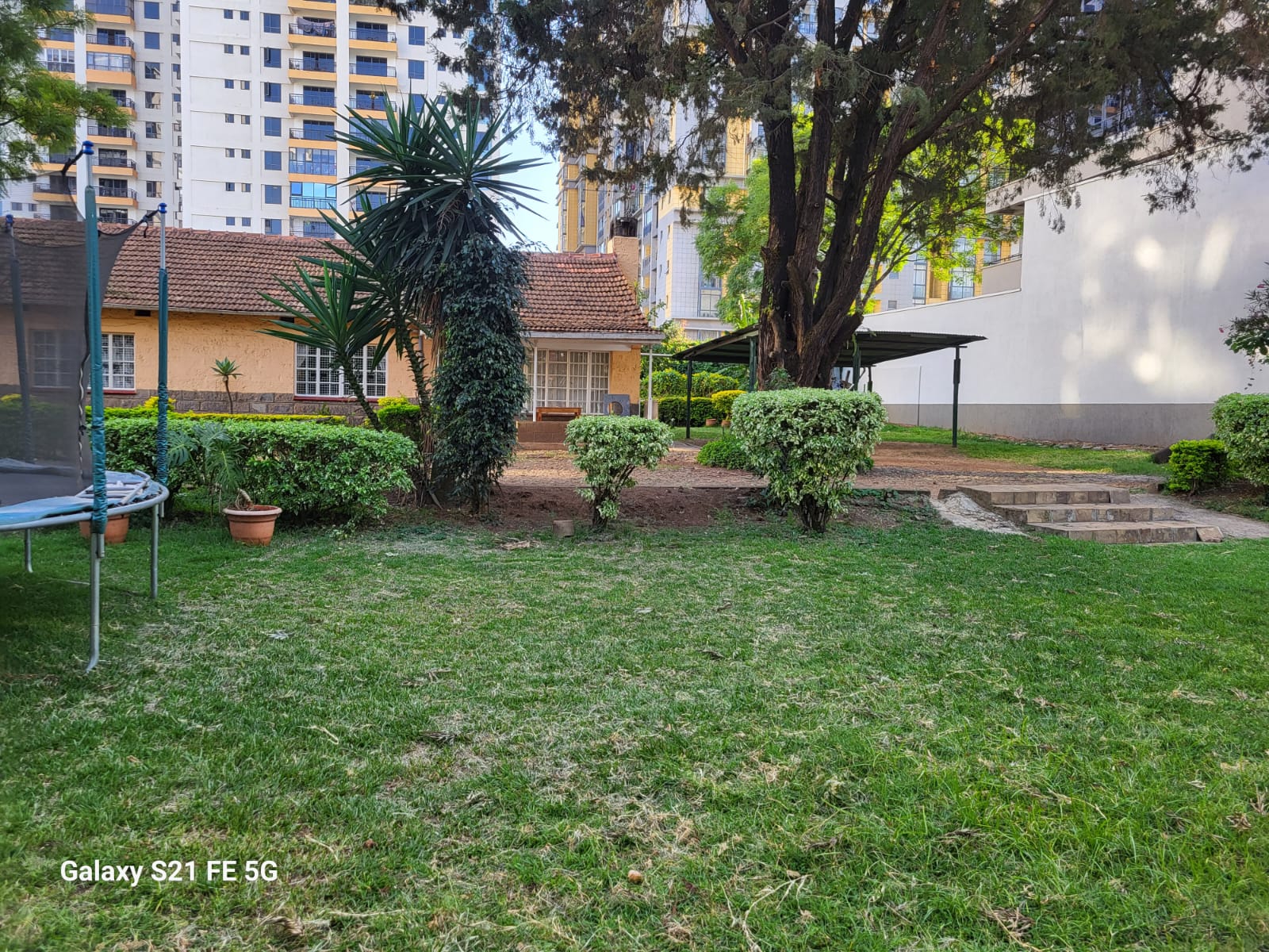 WhatsApp Image 2025-06-20 at .jpeg