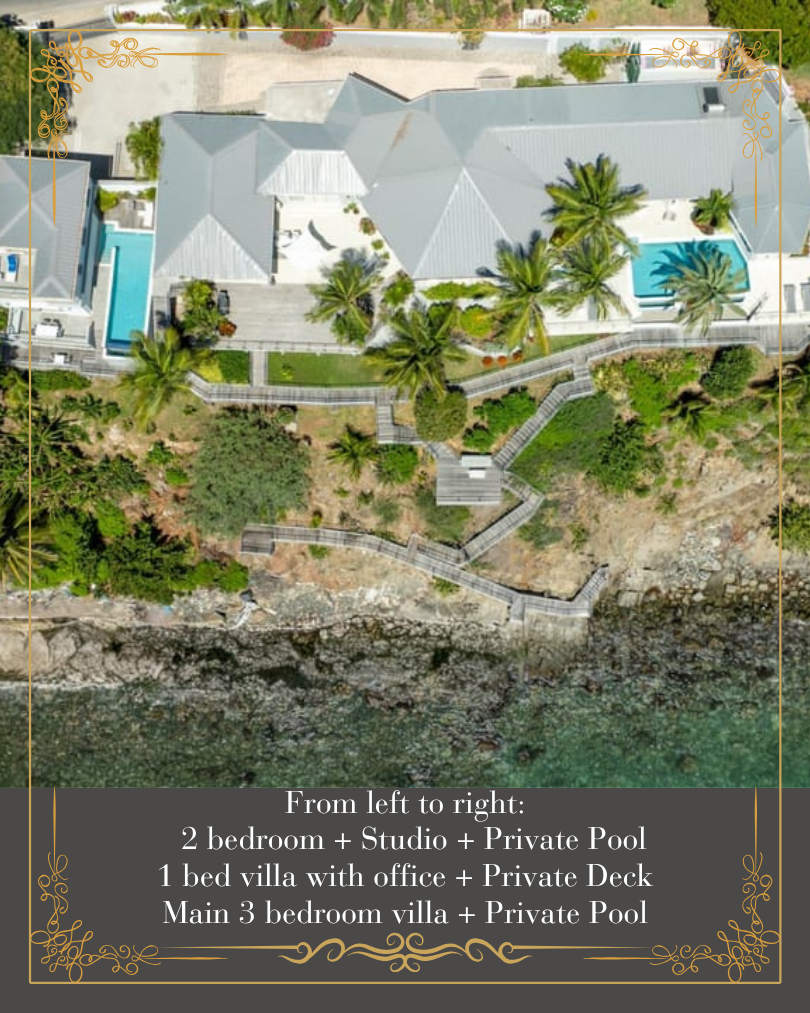 Image Gallery